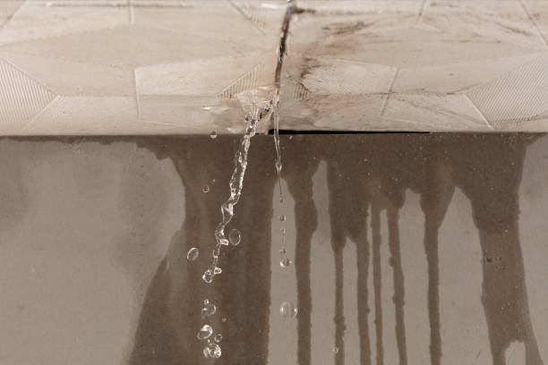 Professional Water Damage Restoration technician working in Midlothian, TX